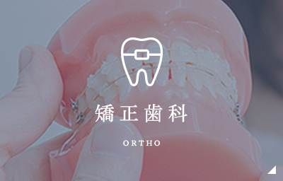 矯正歯科 ortho