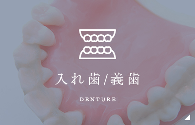 入れ歯/義歯 denture