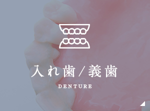 入れ歯/義歯 denture